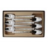 COFFRET 6 cuillères table LE THIERS INOX DECOR NATURA roger orfevre