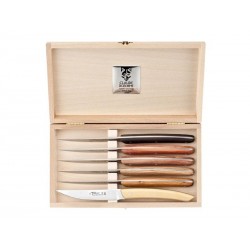 COFFRET 6 LE THIERS DOZORME BOIS ASSORTIS