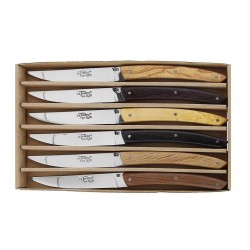 COFFRET 6 COUTEAUX LE THIERS BJB bois assortis