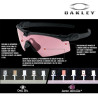 ecran oakley tr22