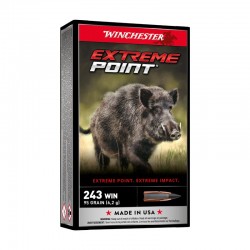 winchester 243 95gr extreme point cartouches munitions bte20